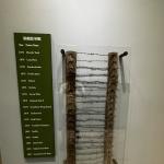 2023OTRA_536 (May 05, 2023)